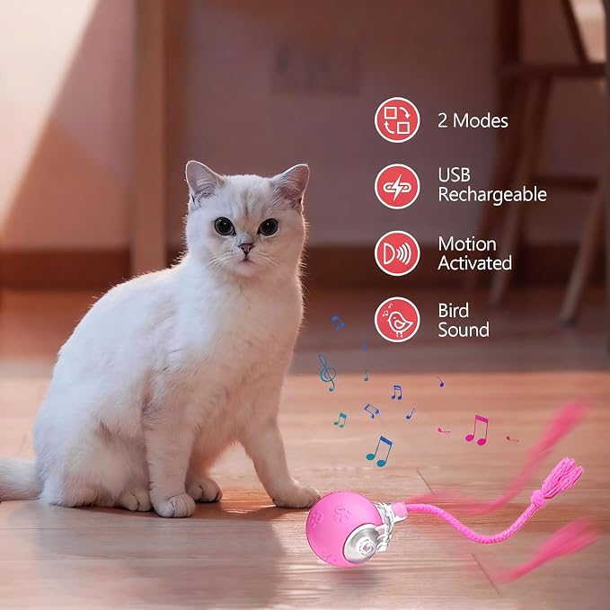Speed 2.0 Tail Interactive Cat Toys, Rechargeable Ball for Indoor Cats