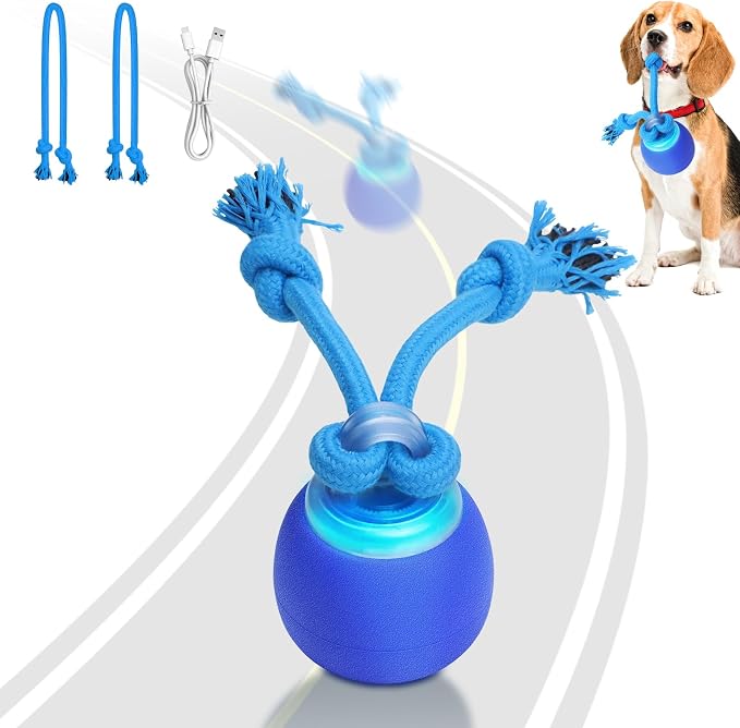 Saolife Interactive Dog Toys with Motion Activated, Squeaky Dog Toy Active Rolling Ball for Puppy and Medium Dogs, USB Rechargeable