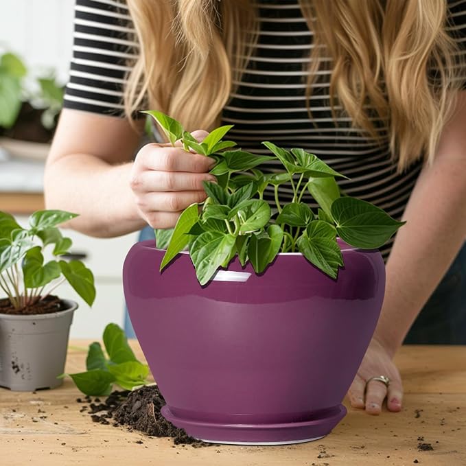 Ceramicfor Ceramic Planter - 8 Inch Plant Pot Indoor with Drainage Hole and Saucer, Glaze Decorative Planter, Round Flower Pot, Plant Lover Gifts, Home Garden Office Decor, Purple