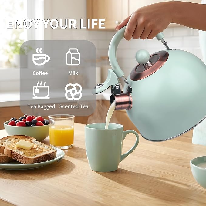 2.6 Quart Mint Green Whistling Tea Kettle, tea pot, Stainless Steel, Cool-Touch Handle, Loud Whistle, 7.48-inch Base, Induction Compatible