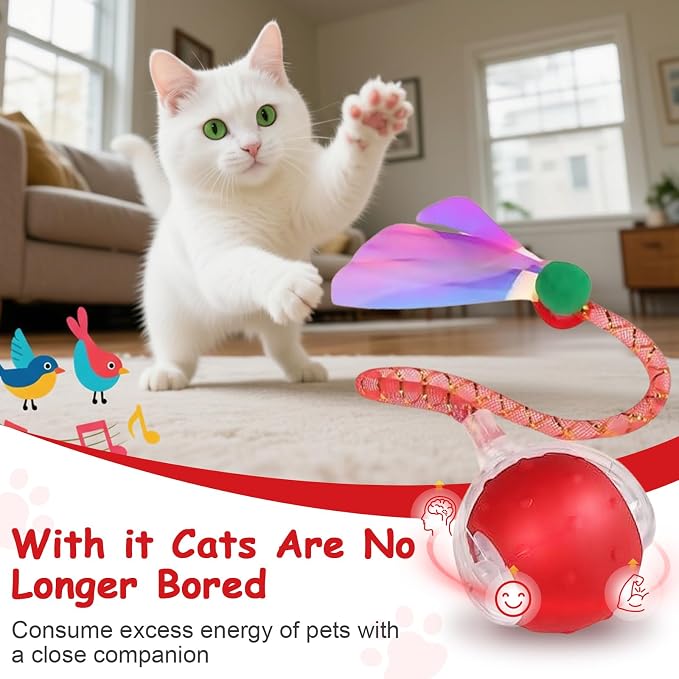 Interactive Cat Toys Smart Ball for Cats & Dogs! Now with 2 Rapid Tails. Features: 360°Auto-Rolling, Motion Activation& Bird Sounds. Perfect for Indoor Pet Exercise & Fun. (Blue)
