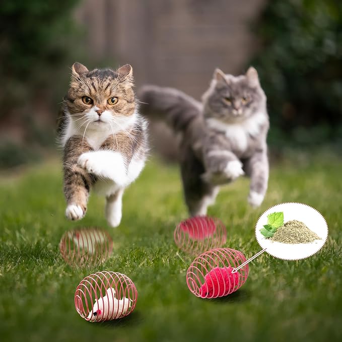 Jecery 5 Pcs Cat Toys Spring,Catnip Rats,Bright Color