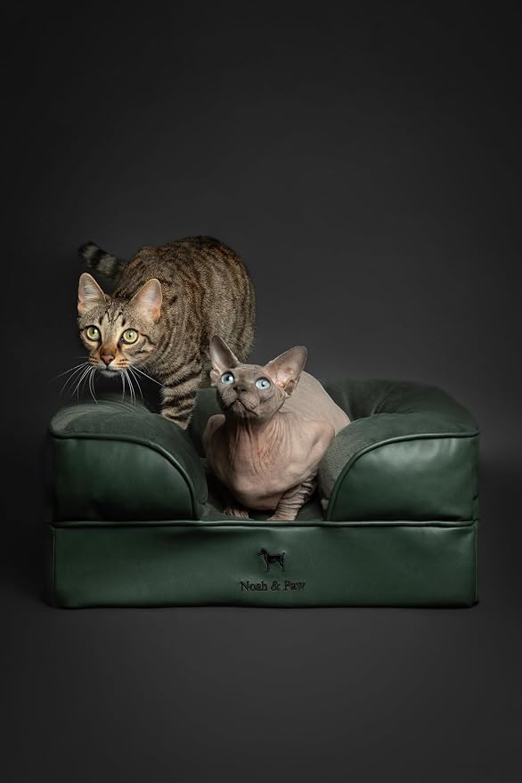 NOAH & PAW Small Dog Bed, 20x15x8 Inch, Cat Bed for Indoor Cats, Orthopedic Eggshell Memory Foam Infused with Cooling Gel, Water Resistant Inner Cover Machine Washable (Faux Leather)