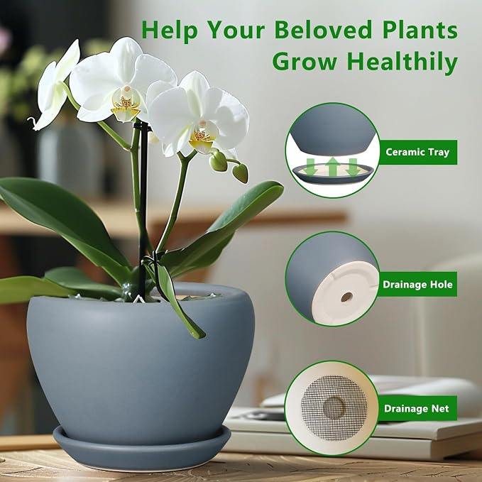 Ceramicfor Ceramic Pot for Plants - 8 Inch Plant Pot Indoor with Drainage Hole and Saucer Decorative Planter for Outdoor Plants Modern Flower Pot for Home Decor Garden Gray