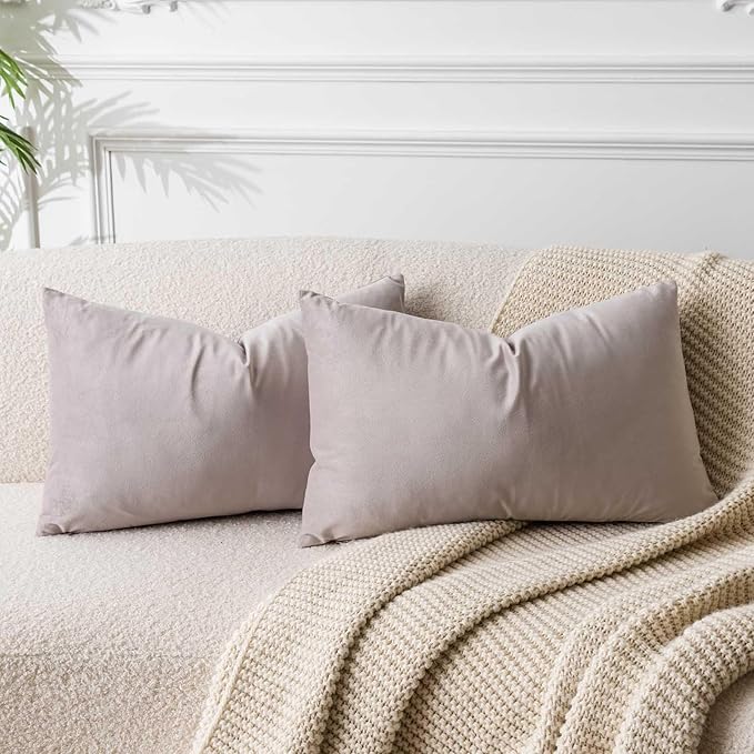 14x24 Velvet Throw Pillow Covers Set of 2 for Couch Bed Sofa,Champagne | Decorative Soft Pillow Covers with Invisible Zipper for Couch Sofa Bed Living Room Bedroom Home Decor