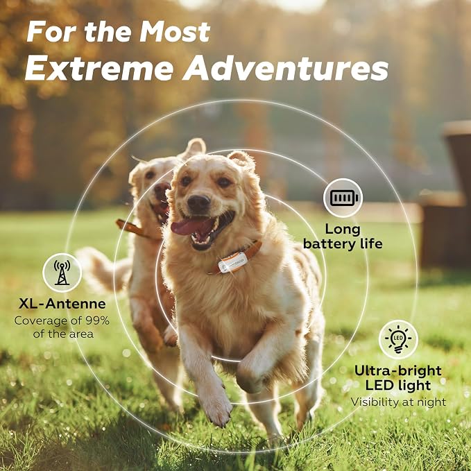 DBDD Smart GPS Tracker for Dogs - Real-Time Location & AI Health Assistant, Waterproof Electronic Fence Collar for Escape