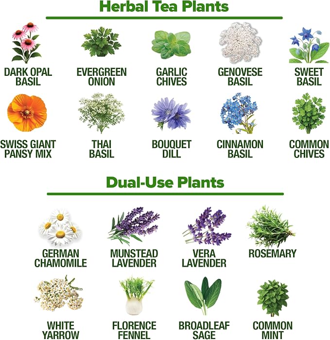HOME GROWN Herb Seeds 32 Medicinal Herbs and Tea Variety Pack – Annual & Perennial Herb Seeds for Planting Indoors & Outdoor – Non-GMO, Heirloom Seeds, Easy to Grow, High Germination Garden Kit