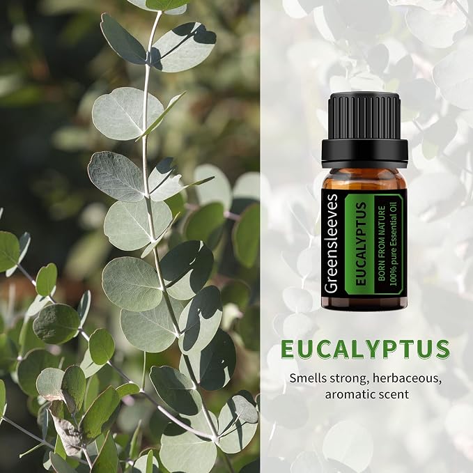 GREENSLEEVES Vetiver Eucalyptus Essential Oil Set, 2 x 10ml Pure Plant-Based Fragrance Oil for Aromatherapy, Essential Oils for Diffuser, Massage, Bath Bomb, Scented Candle Soap Making