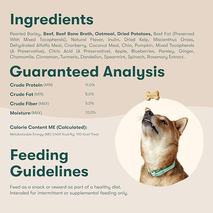 Jinx Dog Biscuits, Oven-Baked Dog Treats with Beef Bone Broth, 16oz | 2-Pack Crunchy & Healthy Dog Treat, Superfood-Rich with Real Grass Fed Beef, Dog Cookies for Puppies, Adults & Senior Dogs