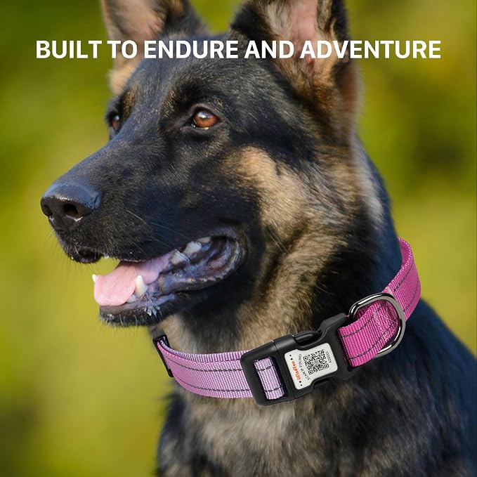 Personalized Dog Collar with QR Code Dog Tag, Blue&Rose Red XS | Anti-lost, 1000D nylon, reflective, padded, XS-L(8"-24"), QR buckle shares lost pet profile, location alerts when scanned