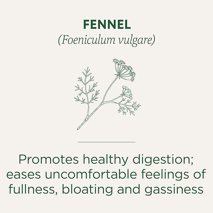 Traditional Medicinals Tea, Organic Fennel, Promotes Healthy Digestion, 16 Tea Bags (Pack of 2)