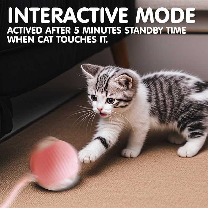 Rocfish Durable Interactive Cat Toys for Indoor Cats (Pink, 01)