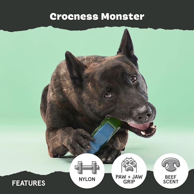 BarkBox Crocness Monster Dog Toy - for Medium Dogs