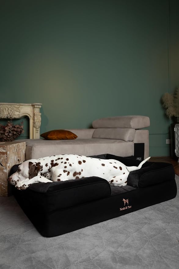NOAH & PAW XL Dog Bed, 45x35x11 Inch, Orthopedic Large Dog Beds, Eggshell Memory Foam Infused with Cooling Gel, Inner Cover, Water Resistant, Machine Washable (Denim Sofa Collection)