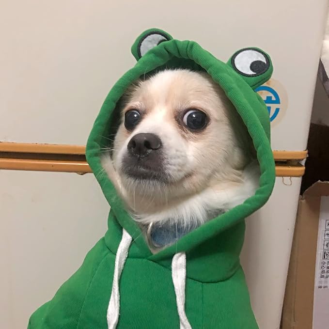 Dog Hoodie Basic Sweater Coat Cute - Frog Shape Warm Jacket Pet Cold Weather Clothes Outfit Outerwear for Cats Puppy Small Medium Dogs