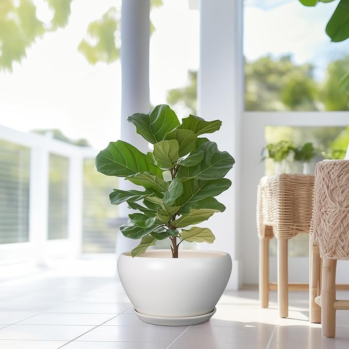 Ceramicfor Planter for Indoor Plants 13 Inch - Ceramic Plant Pot with Drainage Hole and Saucer Decorative Round Large Planter Pot for Plants Outdoor Flower Pot for Room Decor White