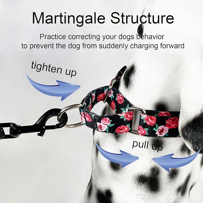 Martingale Collar for Dogs with Buckle No Pull, Black Floral, M