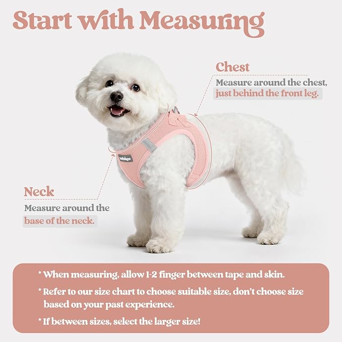 rabbitgoo Dog Harness Small Sized and Leash Set, Step-in Puppy Pet Vest | Light, Soft, Breathable Air Mesh, Easy on and Remove with Hook & Loop, Secure Reflective for Walking, Pink XS