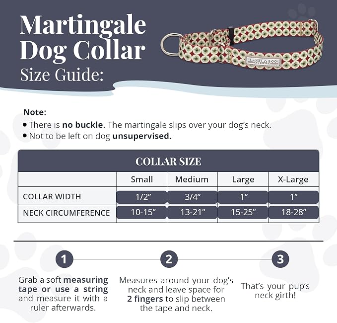 Lucky Love Dog Martingale Collar for Medium Dogs No Slip – Pongo, Medium