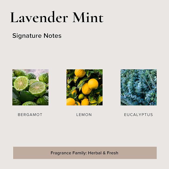 Broken Top Lavender Mint Pure Soy Candle | 9 oz. | Bergamot, Lemon & Eucalyptus 50-Hour Burn Time. Natural Cotton Wick, Vegan, No Parabens, No Phthalates