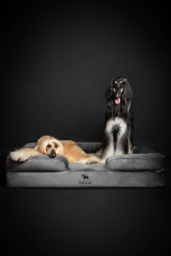 NOAH & PAW Giant Dog Bed XXL, 55x45x11 Inch, Orthopedic Dog Beds, Eggshell Memory Foam Infused with Cooling Gel, Inner Cover, Water Resistant, Machine Washable (Velvet Sofa Collection)