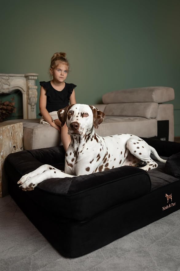 NOAH & PAW XL Dog Bed, 45x35x11 Inch, Orthopedic Large Dog Beds, Eggshell Memory Foam Infused with Cooling Gel, Inner Cover, Water Resistant, Machine Washable (Denim Sofa Collection)