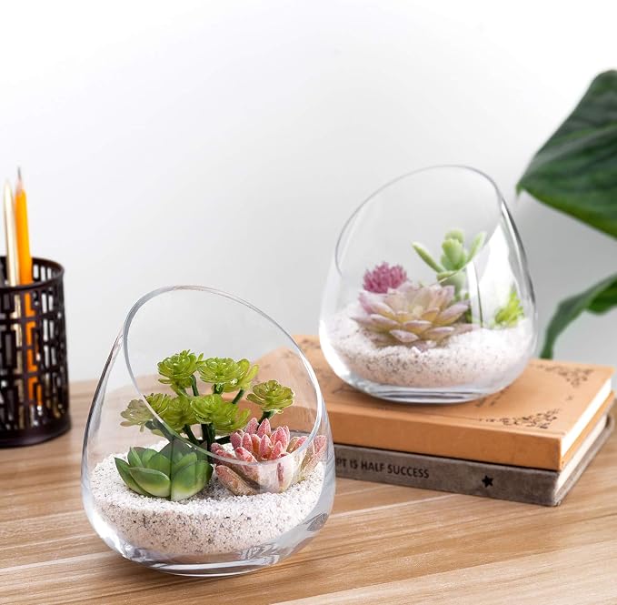 MyGift Clear Glass Air Plant Terrarium Jars, Mini Vase Set of 2 | Versatile glass jars display air plants, succulents, candles, or treats as elegant tabletop décor for any space