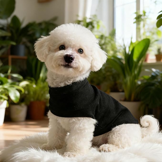 Cat Sweater Warm Fleece Pet Clothes for Cats Only | Soft Cat Vest Puppy Hoodie Coat, Fall Cold Winter Sweatshirt Pullover Clothing also for Small Dogs, Black L
