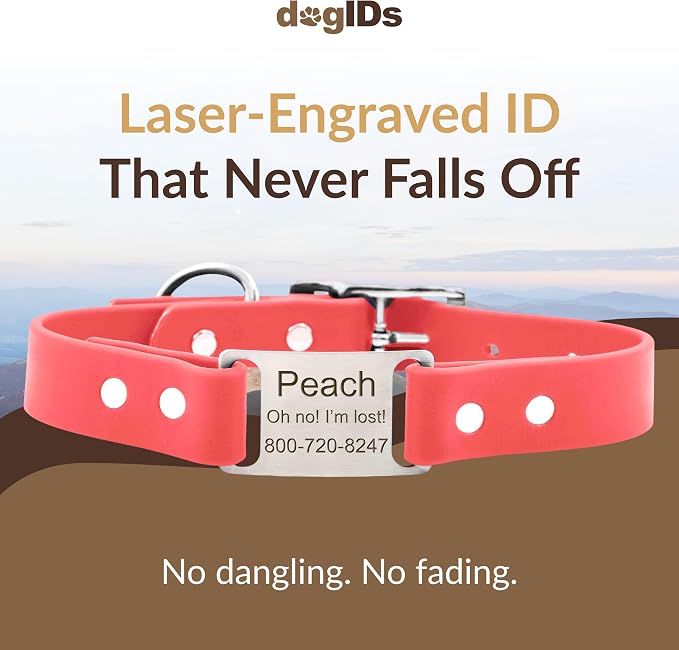 dogIDs Personalized Dog Collar – ScruffTag Custom Waterproof Biothane Dog Collar with Laser-Engraved Name, Durable & Odor-Resistant – USA Made | Coral, 5/8 in x 12 in (Fits Neck Sizes 11-13 in)
