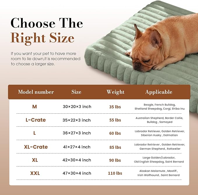 Medium Dog Bed Orthopedic Foam with Waterproof Lining | Egg crate foam for joint support. Soft plush surface. Non-slip bottom. Removable & machine washable cover. OEKO-TEX certified
