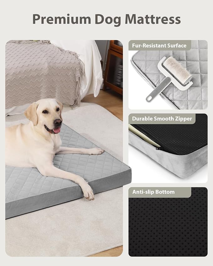 NUPIDA Orthopedic Small Dog Bed for Crate with Washable Cover, 23x17, Grey | Cat Puppy Kennel Pad, Egg-Crate Foam, Cozy Velvet Pet Mattress, TPU Waterproof Layer, Comfy Support, Non-Slip Bottom