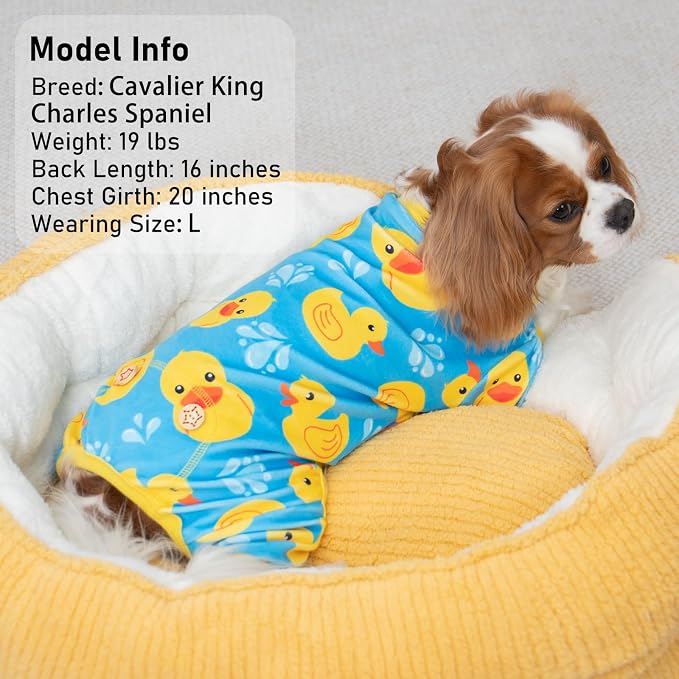 KYEESE Velvet Dog Pajamas for Small Medium Dogs Soft Onesie, Rubber Duck | 4-Way Stretch, Lightweight & Breathable, Reduces Shedding, Gentle on Sensitive Skin, Recovery Support, Easy Potty Breaks