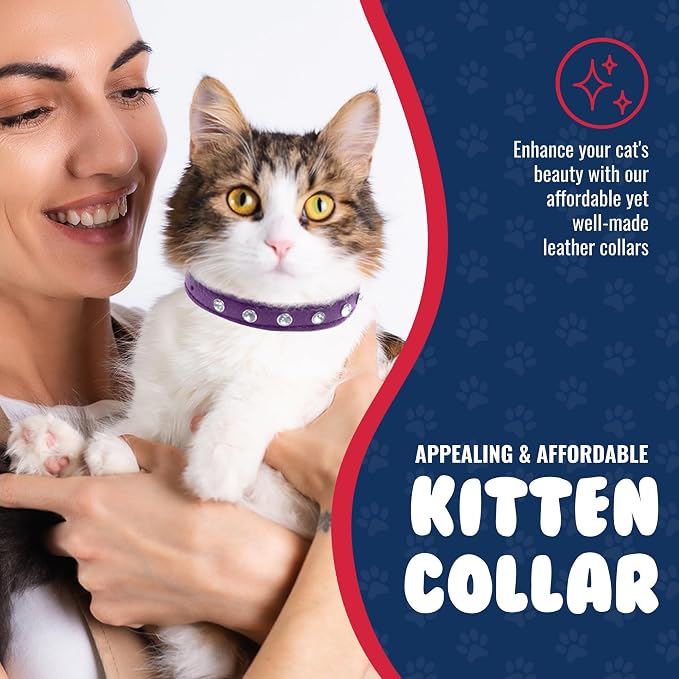 Athens Cat Collar, Leather Kitten Collar w/Rhinestones, Sturdy Breakaway Cat Collar with Bell & Elastic Stretch, bCat Accessories, Orchid Purple, 10 x ½ inches - Angel Pet Supplies