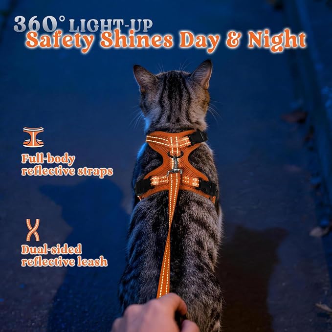 rabbitgoo Cat Harness and Leash, Easy-on with Neck Buckle, Orange