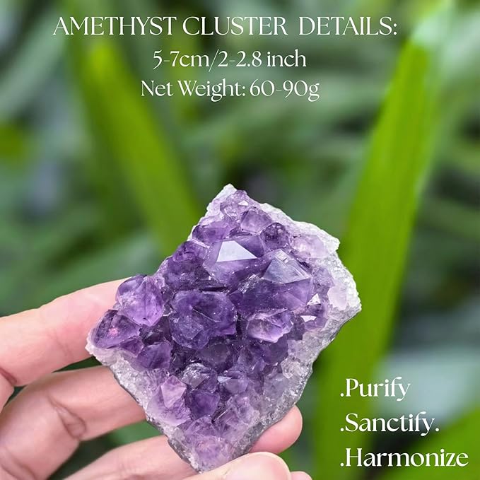 Premium Amethyst Cluster & 7 Chakra Healing Crystals Set - Amethyst, Rose Quartz, Citrine, Lapis Lazuli, Clear Quartz, Tigers Eye, Red Jasper - for Yuga ,Meditation, Reiki, Energy Alignment - with Wooden Gift Box, Guidebook & Velvet Pouch