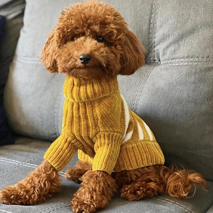 Blueberry Pet Cozy Soft Chenille Classy Striped Dog Sweater in Mustard, Back Length 20", Pack of 1 Clothes for Dogs