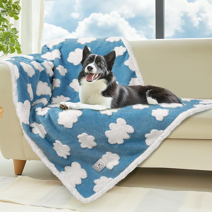 Luciphia Waterproof Dog Blanket for Small Dogs Cats Soft Reversible Fleece | Puppy Pet Blanket, Indoor Cats, Washable Cute Cozy Throw, Bed Cover, Couch Furniture Protector Gift(57" x 40", Blue)