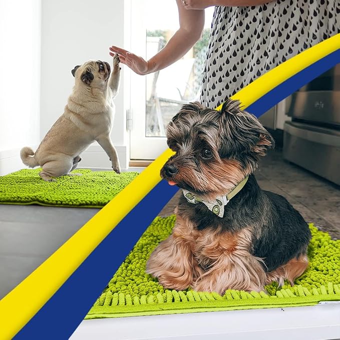 Muddy Mat® | Super Water Absorbent Door Mat Indoor, Microfiber Quick Dry Chenille Entryway Rug,Slip Resistant Front Door Mat,Indoor Mats for Entryway,Machine Washable Pet Rug, Spring Green 2ft x 3ft