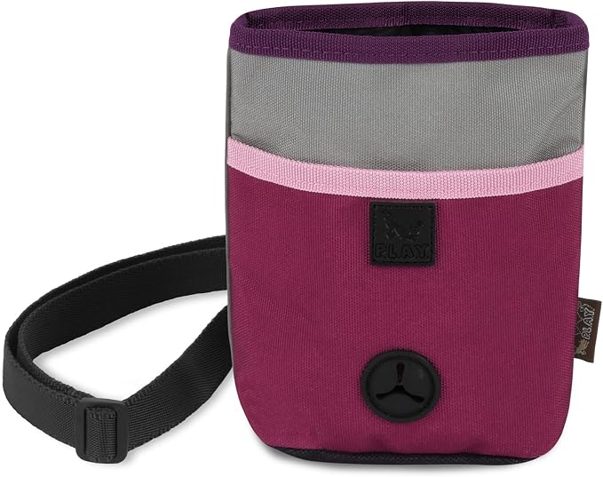 P.L.A.Y. Scout & About Deluxe Training Treat Pouch with Poop Bag Dispenser - 3 Way Wear, Detachable & Adjustable Strap, Reflective Strips, Water-Resistant Back Zipper Pocket, Squeaker (Wildflower)