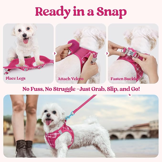 rabbitgoo Dog Harness Small Sized and Leash Set, Step-in Puppy Pet Vest | Light, Soft, Breathable Air Mesh, Easy on and Remove with Hook & Loop, Secure Reflective for Walking, Rose Red Plaid XS