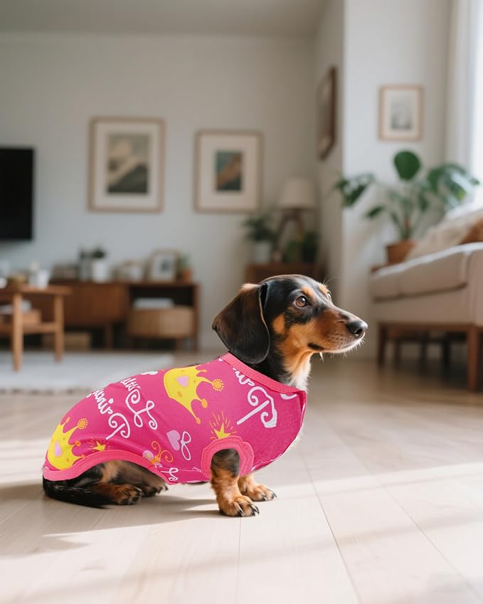 PET SHOW 4 Pack Dog Shirts for Small Dogs Female Tank Top Tee Red Pink T-Shirts Pets Sleeveless Vest Girl Dog Clothes(X-Large)