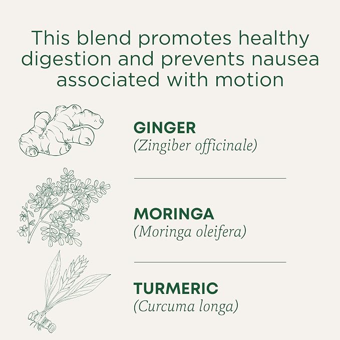 Traditional Medicinals Organic Ginger Aid Digestive Tea, 16 Tea Bags (Pack of 3)