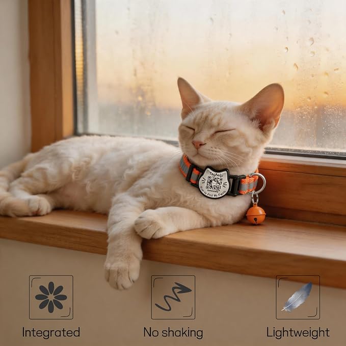 Breakaway Cat Collar with QR Code Tag and Bell (Blue & Orange) | Reflective Nylon, Quick-Release Buckle