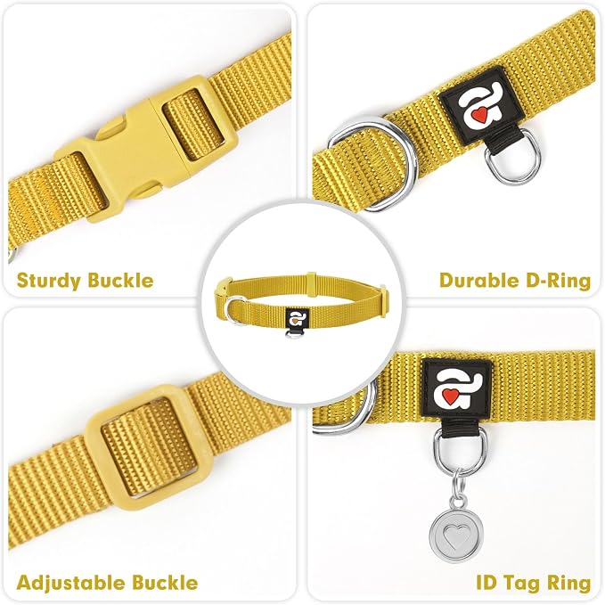 azuza Nylon Fall Dog Collar and Leash Set, Strong & Durable Basic Style Leash with Easy to Use Collar Hook, Available in Multiple Lengths for Medium Dogs, Ginger Yellow,M