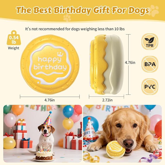 Dog Birthday Cake Toy Indestructible Squeaky Toys for Aggressive Chewers Outdoor Swimming Interactive Tough Chew Toys for Medium and Large Dogs