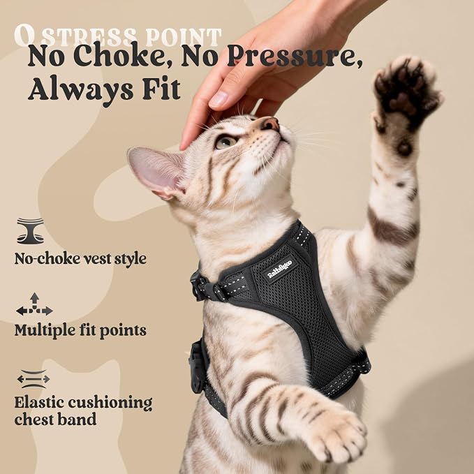 rabbitgoo Cat Harness and Leash, Easy-on with Neck Buckle, Black