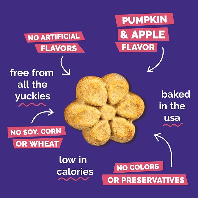 Fruitables Baked Dog Treats, Low Calorie Treats, Pumpkin & Apple, 12oz | Healthy Dog Treats, Training Treats, Crunchy Dog Biscuits, Limited Ingredient Recipe, Healthy Puppy Snacks, Made in USA
