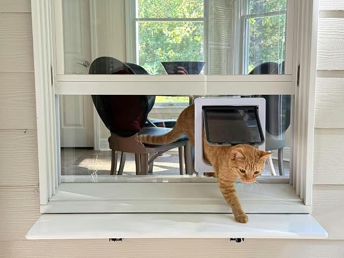 Custom Cat Door Window Insert - Plexiglass | Insulated & Weather-Sealed | Tool-Free Install for Horizontal & Vertical Windows | Microchip Lock Options | Made in USA | Small Dogs & Pets