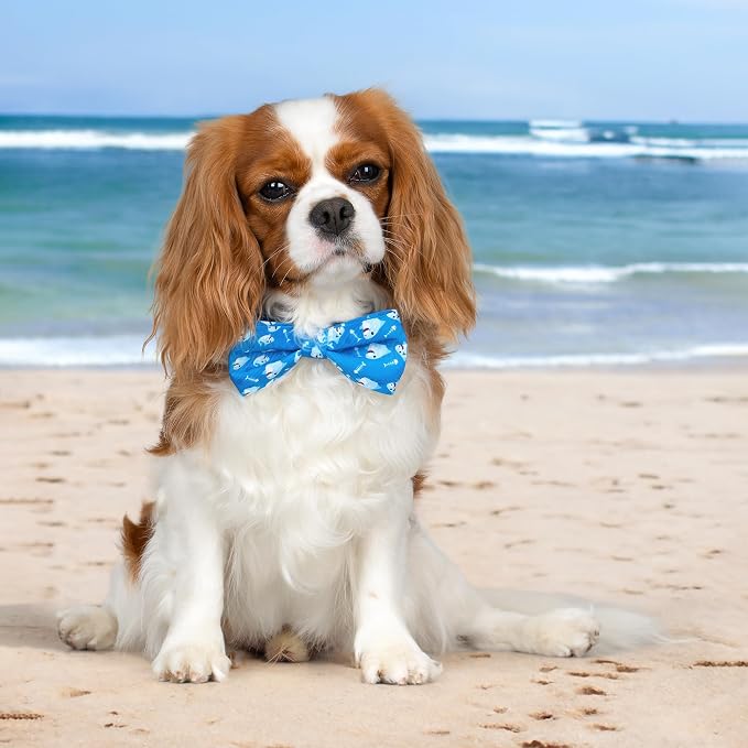 azuza Dog Collar with Bow Tie, Soft and Comfortable Adjustable Bowtie Dog Collar for Puppy and Small Dogs (XS, Shark)