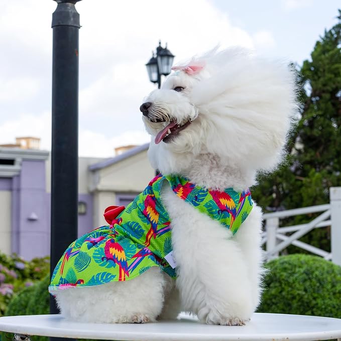 CuteBone Dog Mesh Dress Puppy Sundress Pet Outfit Summer Fashion for Small Dogs Girl Cat Clothes